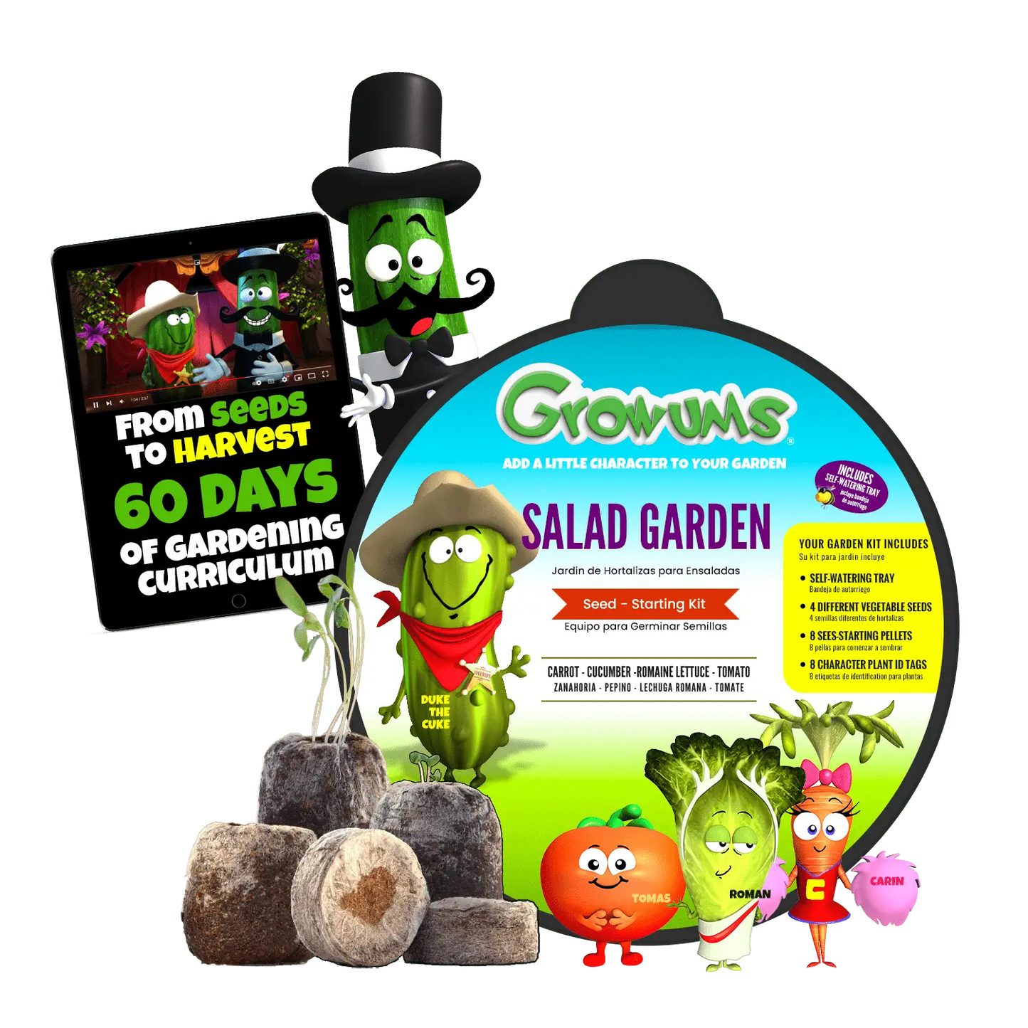 Salad Garden Kit